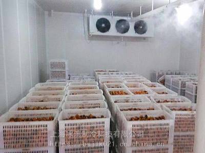 精準溫控，鮮活 delivered 果蔬保鮮與水產海鮮冷庫的全流程建設指南