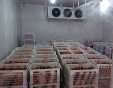 鄭州保鮮與水產冷庫出租租賃指南 品質存儲讓商機恒溫